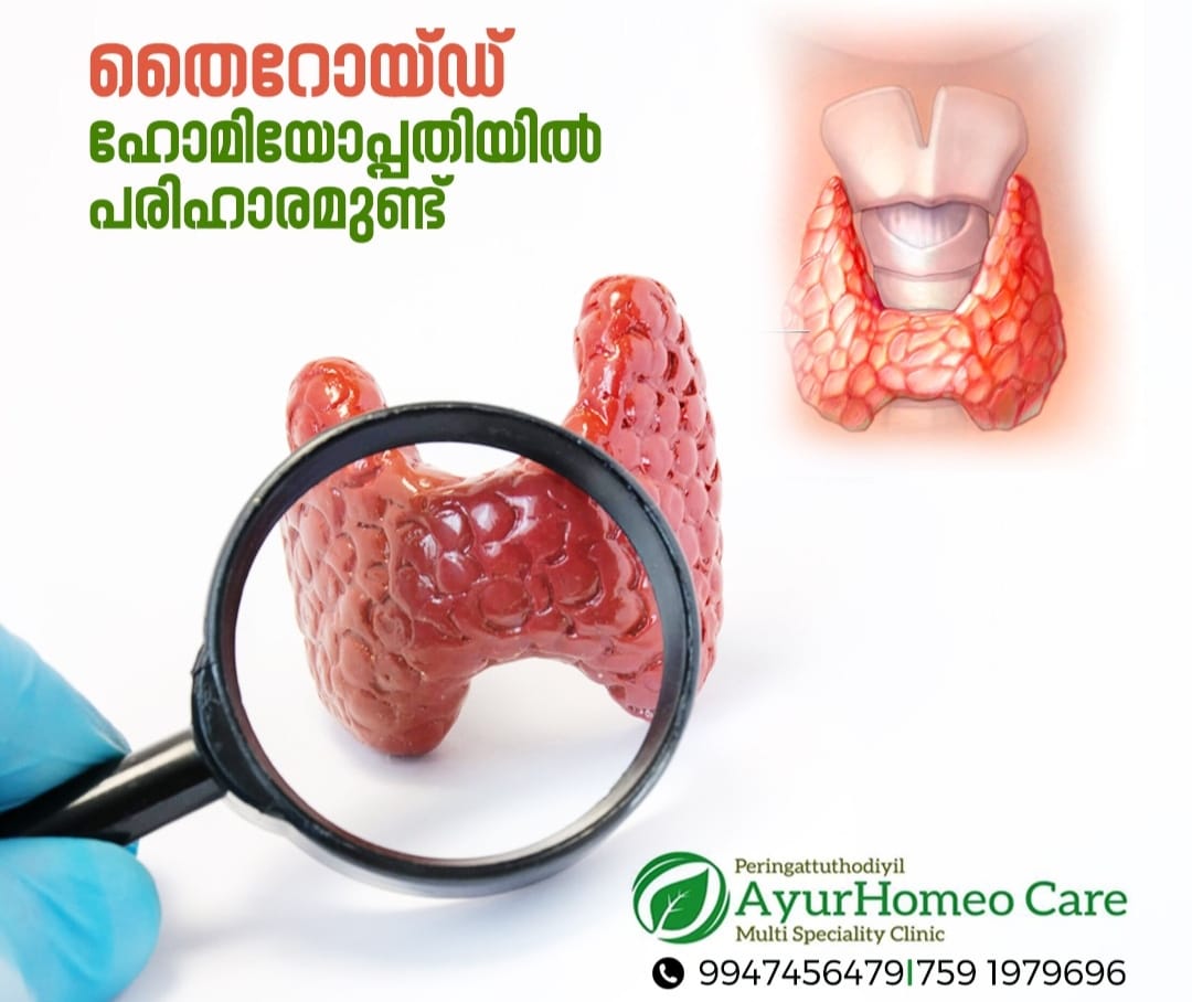 AyurHomeo Care Valiyakunnu Irimbiliyam