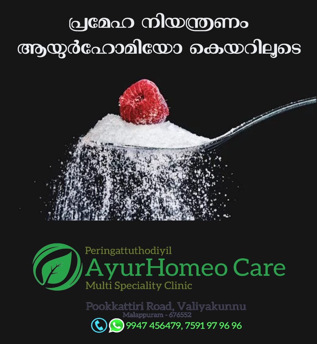 AyurHomeo Care Valiyakunnu Irimbiliyam